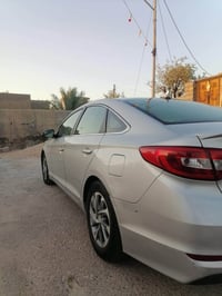 وارد امريكي • ٢٠١٦ • البصرة