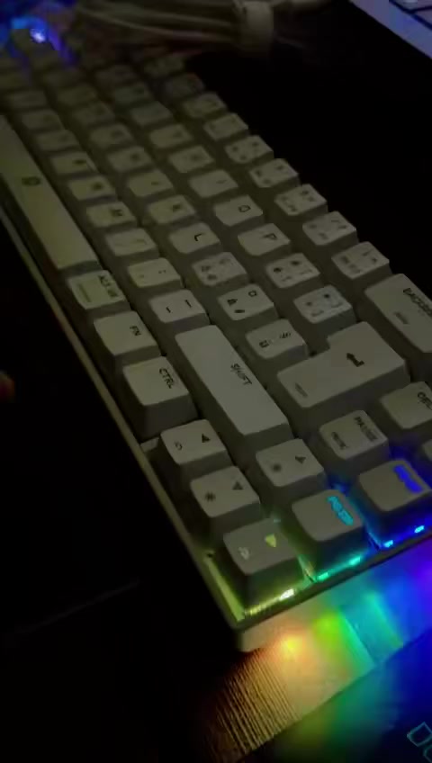 كيبورد ميكانيكي بهل الجمال والاضائه مالته رهيبه موضحها بالفديو السعر ٣٥ الف


**إذا كنت صاحب هذا الإعلان وتريد حذفه لأي سبب، رجاءا أرسل رسالة إلى الدعم الفني**