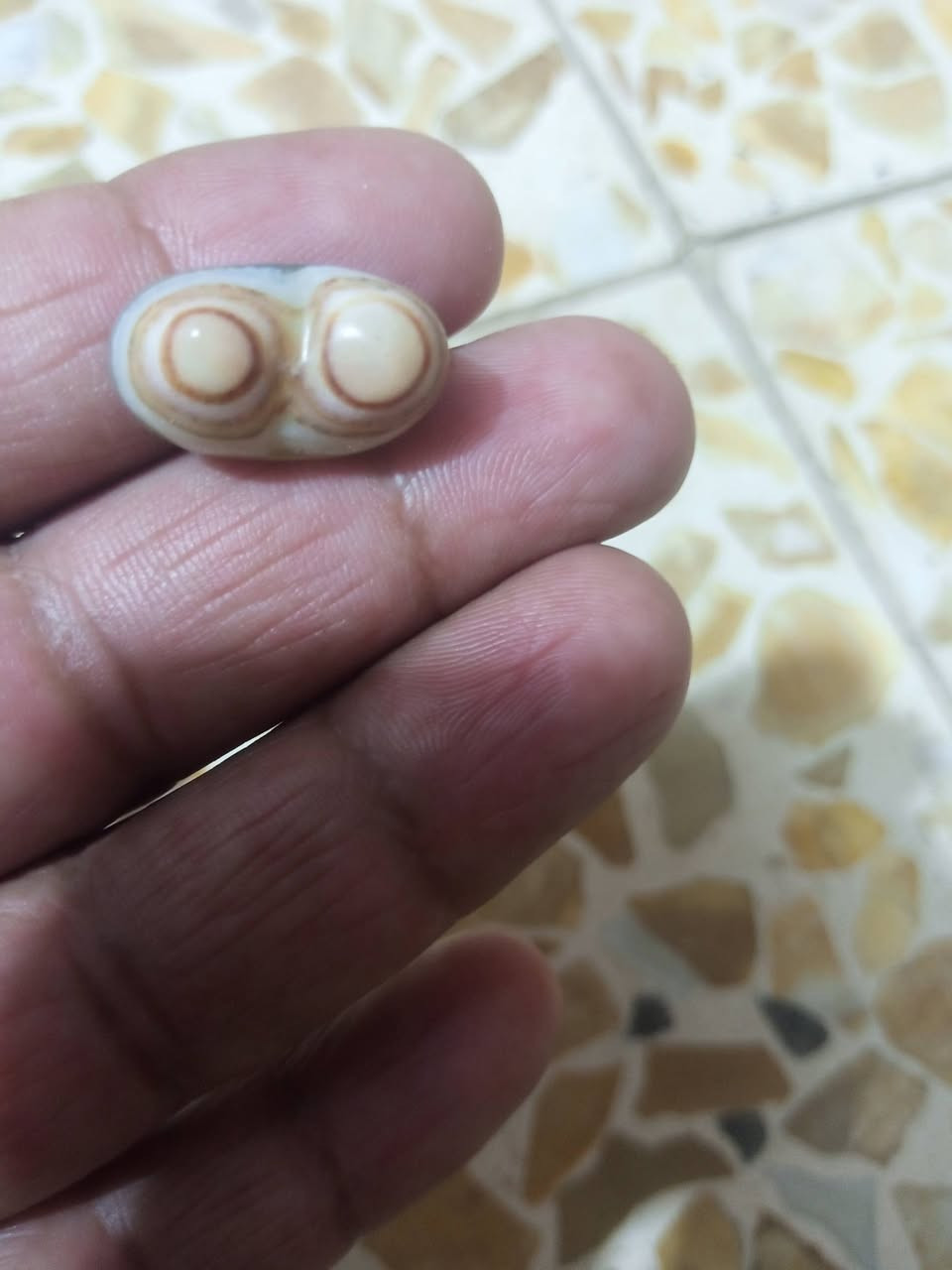 لبيع هاي وحده منهن بيه عيون


**إذا كنت صاحب هذا الإعلان وتريد حذفه لأي سبب، رجاءا أرسل رسالة إلى الدعم الفني**