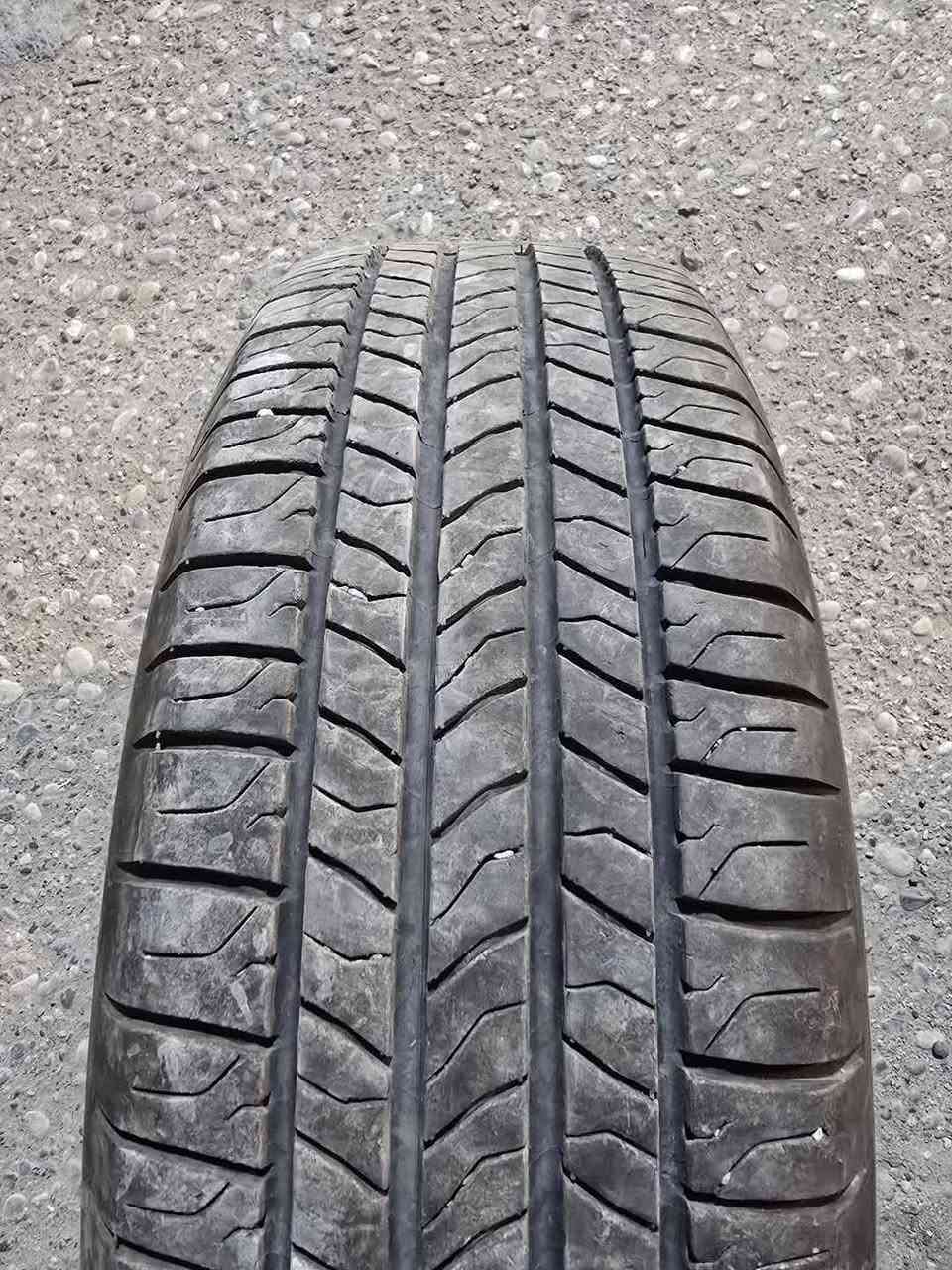 *********** السعر ٢٥٠ الف قفل سعر نهائي ويل مكفول
