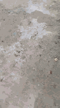 للبيع ستوته موديل 23 و و اوراق اصوليه و صار شهر طالعه من وكيل  و هاي ثالث تبديله مال دهن   وبيع  مستعجل  و سعر 3 مليون و 200  و عنوان حله شارع 80 قرب حلويات قصر الشام


**إذا كنت صاحب هذا الإعلان وتريد حذفه لأي سبب، رجاءا أرسل رسالة إلى الدعم الفني**