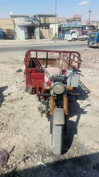 ستوتة • بدون وراق • كلتش يفلت