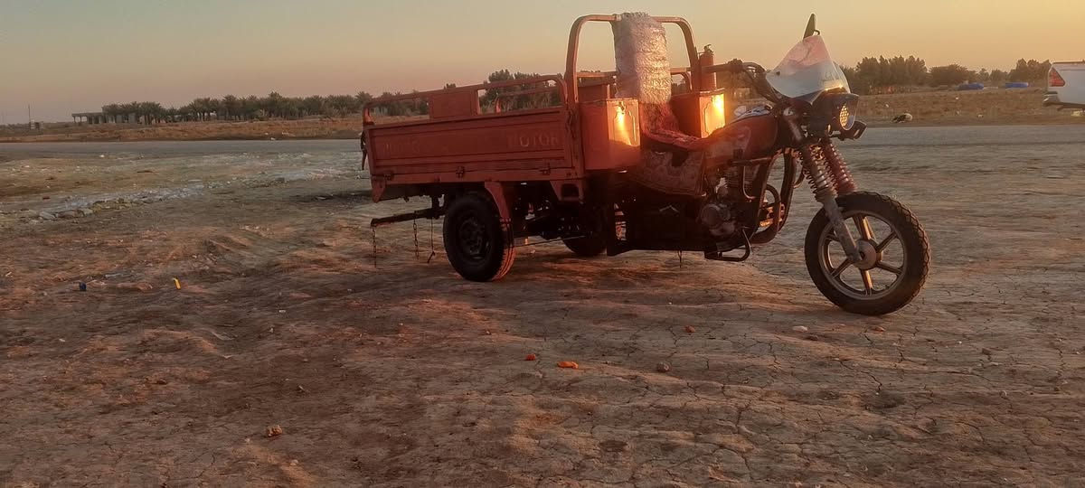 سلام عليكم ستوته للبيع مكان شوملي  سعر الستوته 800 مكان شوملي ستوته مال جناي رقم الهاتف ***********
