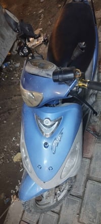 ماكس منغولي • للبيع • خاص