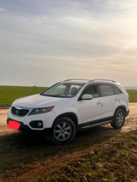 بانورما • مكفولة • ٢٠١١