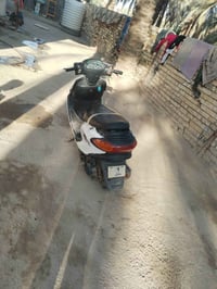 دراجه دولفي • ياباني • قابلة تفاوض