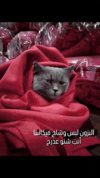 حبايبي وشاح ميكاسا تركي درجة أولى اصلي القياس 50 /180 يتوفر جملة و مفر...