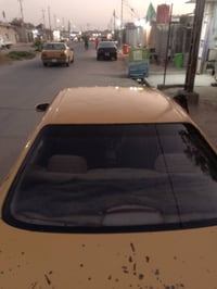 شيزر • ابيض • كفاله عامه