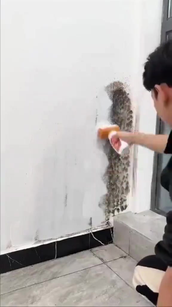 بۆیاخی سەفەری👍🏻📍ناونیشان:هەڵەبجەی تازە-بازاڕی سیروانیەکان. 📞 ژمارە موبایل:***********-*********** #بەشدار_شۆپ #bashdar_shop #fyp #foryou #foryoupage 
