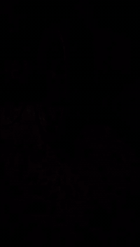 دايون • موديل 2018 • أوراق أصلية