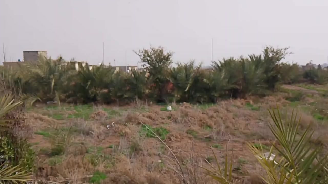 سلام عليكم ٤ دوانم البيع بل نهروان بستان وحقل مال مواشي عرضه ١٦ ونزاله ٦٢ متر الساس رفت شريطي والسكف مسلح وندك وجسور جاهز بيبانه وقطع ٨ قاعات   ***********اسيا ***********
