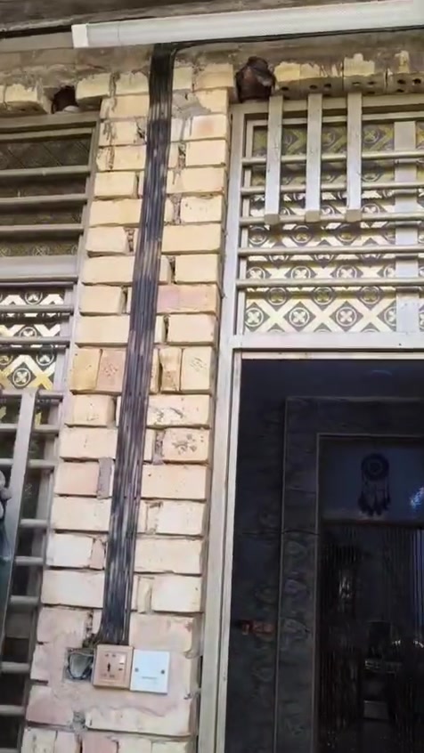 السلام  عليكم  بيت  مساحة  50  متر  زراعي  رئاسة  العبيدي  گاع  ابو  علي  الدراجي  نهاية  شارع  عشرين  السعر  50  وبي  مجال  بسيط  كامل  الخدمات  مي  كهرباء  أنترنيت  مجاري والتبليط  گصو  الشارع  وخلو  ارصفه


**إذا كنت صاحب هذا الإعلان وتريد حذفه لأي سبب، رجاءا أرسل رسالة إلى الدعم الفني**