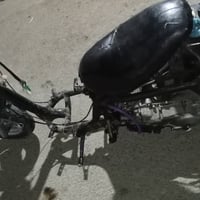 فراشه • مامفتوحه • شغاله