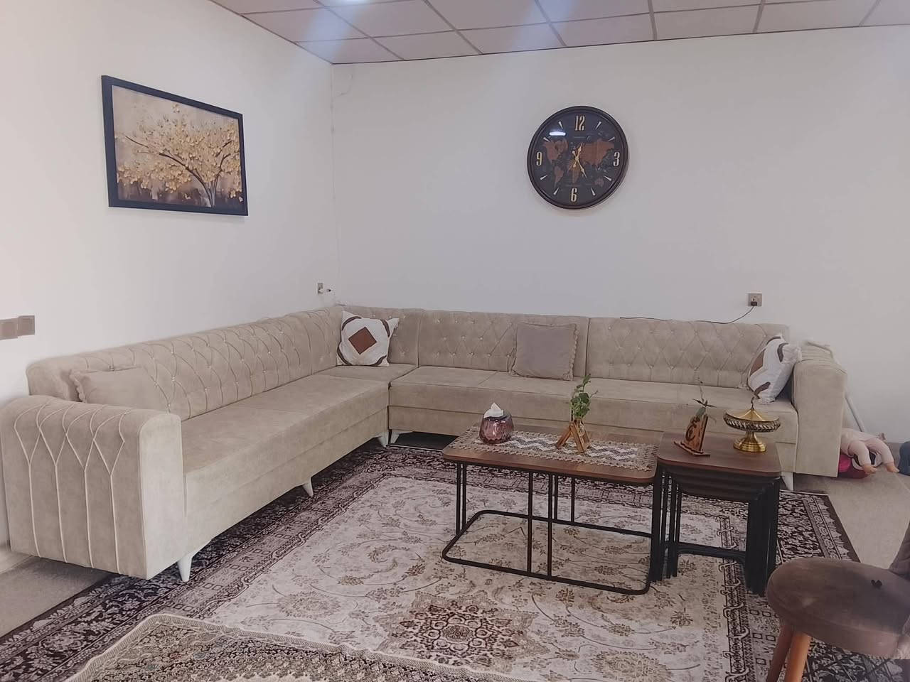 قەنەفەی دەنەفەری دەسکرد جوانو زۆر تۆکمەدراوی سوتاوی شوخی پێوە نیە تازە
نرخ325
شوێن سلێمانی


**إذا كنت صاحب هذا الإعلان وتريد حذفه لأي سبب، رجاءا أرسل رسالة إلى الدعم الفني**
