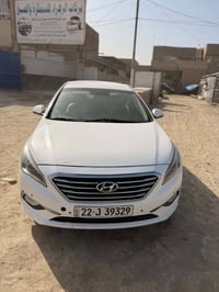 ٢٠١٥ • صبغ وقطع • رقم اربيل