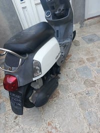 ماكس بوليسي • حاوية • جديد