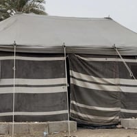 خيمه • ٨×٤م • العلم