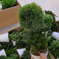 نباتات صناعية • ورد صناعي • ديكور منزل • زينة منزلية • تحف منزلية • اك...