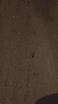 ألسلام عليگم أحبتي.... 🧿💫
...للبيع 💘 
Honda  400cc
قطعه مرتبه  ومكفوله 
 كير مكينه مكفولات .👌💕
دراجه اوراق. اصوليه، ورقم شاصي لبلاد 🛌 ..... دراجه انضف من صور

GOD 🧿❤️
تانكي فايبر گلاص..,💯🔥
عليهه ادامه كامله من كابريتر بلكات من فلاتر بانزيل ودهن وكوله اصلي 🧘‍♂️
ومابيها اي مشاكل الحمد الله 💯
 
السعر مليون و 800 وشراي يدلل 
وبيهه مجال احبتي تامرون.،❤️‍🔥
مكانهه.  🫀الكوت الحبيبه
 . وصاحبهه يوصلها الكم للمحافضات القريبه منه ،🫀
الهاتف .. *********** سجاد صاحب الدراجه.،
الهاتف .. *********** سيد مهدي للراغب في عرض دراجته
