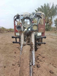 ستوته • رقم اسود • موديل ١٠