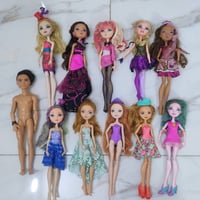 مونسترات • أصلي • جودة عالية