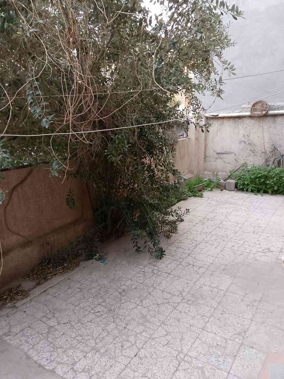 السلام عليكم بيت للبيع بسعر مناسب في منطقة شهداء البياع محلة 869 البيت مسلح يحوي اربع غرف نوم كبيرة وهول وصالة كبيرة جدا الصحيات عدد ثلاثة علما أن مساحة الدار 200 متر مربع الواجهة 10 ونزال 20 و الدار فارغ جاهز للسكن الاستفسار *********** الاتصال
