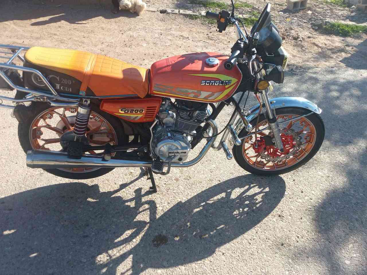 سيفان موديل 24 كامل مكمل مكاني المقدادية ناحية ابو صيدا سعر 650 شراي تعال خاص وخادمك اني


**إذا كنت صاحب هذا الإعلان وتريد حذفه لأي سبب، رجاءا أرسل رسالة إلى الدعم الفني**