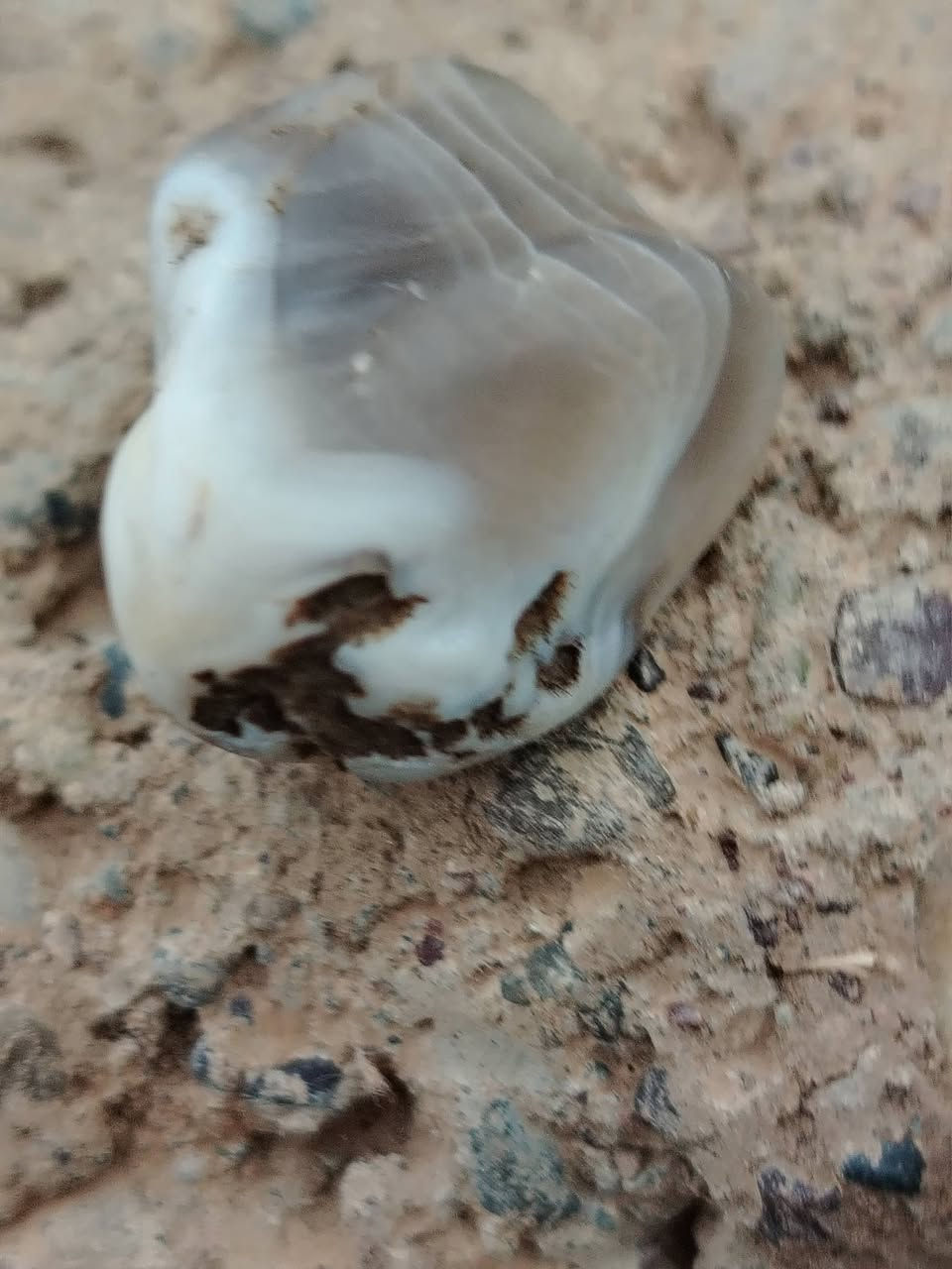 ماعرف نوع الحجر مال ملاكط
قيم وخذ


**إذا كنت صاحب هذا الإعلان وتريد حذفه لأي سبب، رجاءا أرسل رسالة إلى الدعم الفني**