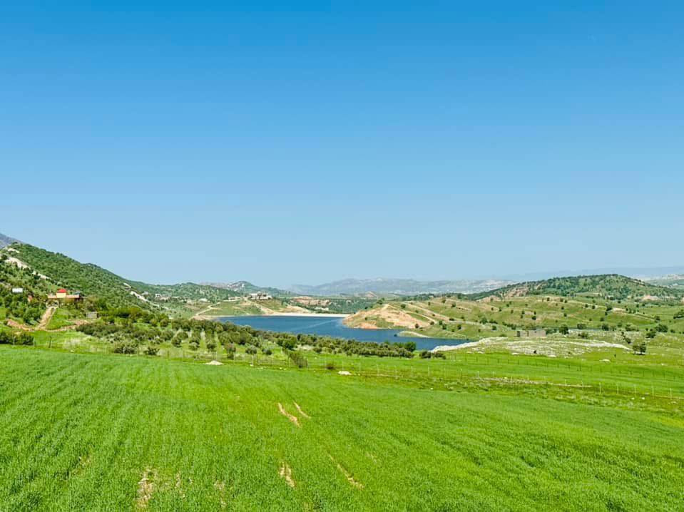 #نرخ تەنها 435 وەرقە
مەزرەعەیەکی زۆر جوان بۆ فرۆشتن 
‏‎رووبەری گشتی 5000م تاپۆ

‏‎بۆ زانینی #شوین  ژمارە( 4 )لە کومنیت دابنئ💰📤

‏‎ کارەبای هەیە
‏‎بیری ئاوی سەربەخۆیە
‏‎باغ کە ناوازە تیدایە
‏‎حەدیقە و بە نرخیکی زۆر گونجاو 

‏☎️ :*********** WhatsApp + Viber + Call

‏‎ــــــــــــــــــــــــــــــــــــــــــــــــــــــــــــــــــــــــــ
‏‎ئەزموونێكی پڕ لەمتمانە:: ‎✅ #_عەقارات_باغی_ئاژگە

‏‎ئەگەر هەرموڵکێکت خانوو_دووکان _مەزرەعە هەیەـــ بینێرە بۆ پەیجەکەمان ئێمەش بڵاوی ئەکەینەوە بە باشترین و جوانترین شێواز

‏‎‏‎‏‎#كرين_فرۆشتنى_مەزرعە
