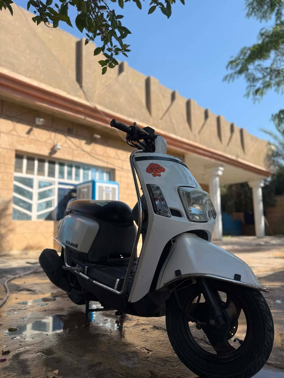 بوليس عدله مراوس فقط اراوس ب ايفون صار شهر من نزلته رمبه


**إذا كنت صاحب هذا الإعلان وتريد حذفه لأي سبب، رجاءا أرسل رسالة إلى الدعم الفني**