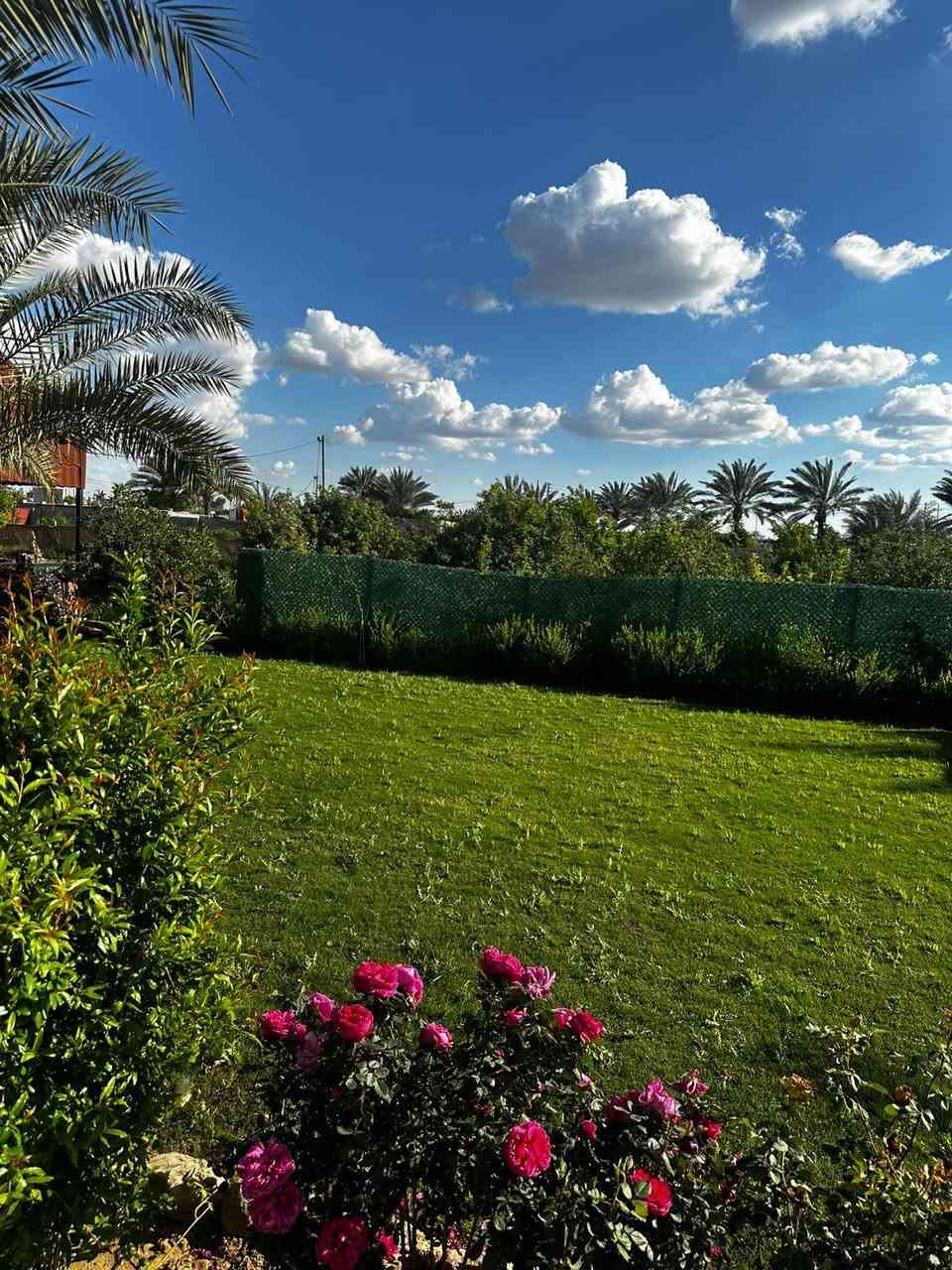 مزرعه لامراء 👸👸🤴🤴
حجز قبل يوم جماليه ونضافه وترتيب حجز ع خاص


**إذا كنت صاحب هذا الإعلان وتريد حذفه لأي سبب، رجاءا أرسل رسالة إلى الدعم الفني**