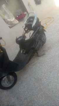 فراشه • فحل • يحتاج بطارية