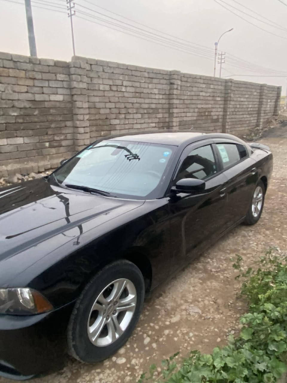 السلام عليكم ورحمة الله وبركاته

جارجر ادوات مكصوص جنطه

موديل ٢٠١٤ محرك ٦ سلندر

محرك كير جدد صدر جديد تخم تاير جديد

تبريد تدفئه شغال مناقصها برغي

للبيع او مراوس

سعر ٥٧ وبيها مجال 

مكاني تكريت

للاستفسار ***********
