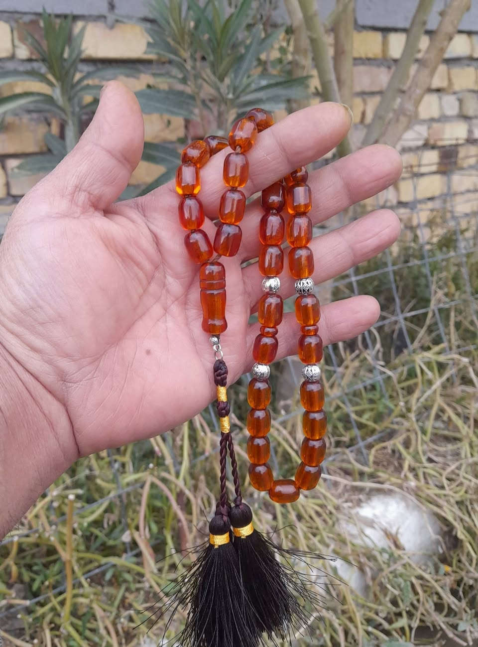 ياالله.. سندلوس ألماني قديم مشروط جراخه النجف بيت عنوز لون عسلي فواصل انتيمون نضافه تامه وزن 50 غرام الشراي يتفضل خاص


**إذا كنت صاحب هذا الإعلان وتريد حذفه لأي سبب، رجاءا أرسل رسالة إلى الدعم الفني**