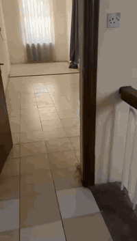 دار للإيجار بناء نظيف طابقين كراج مدخلين صاله مطبخ خدمات منوار مخزن غر...