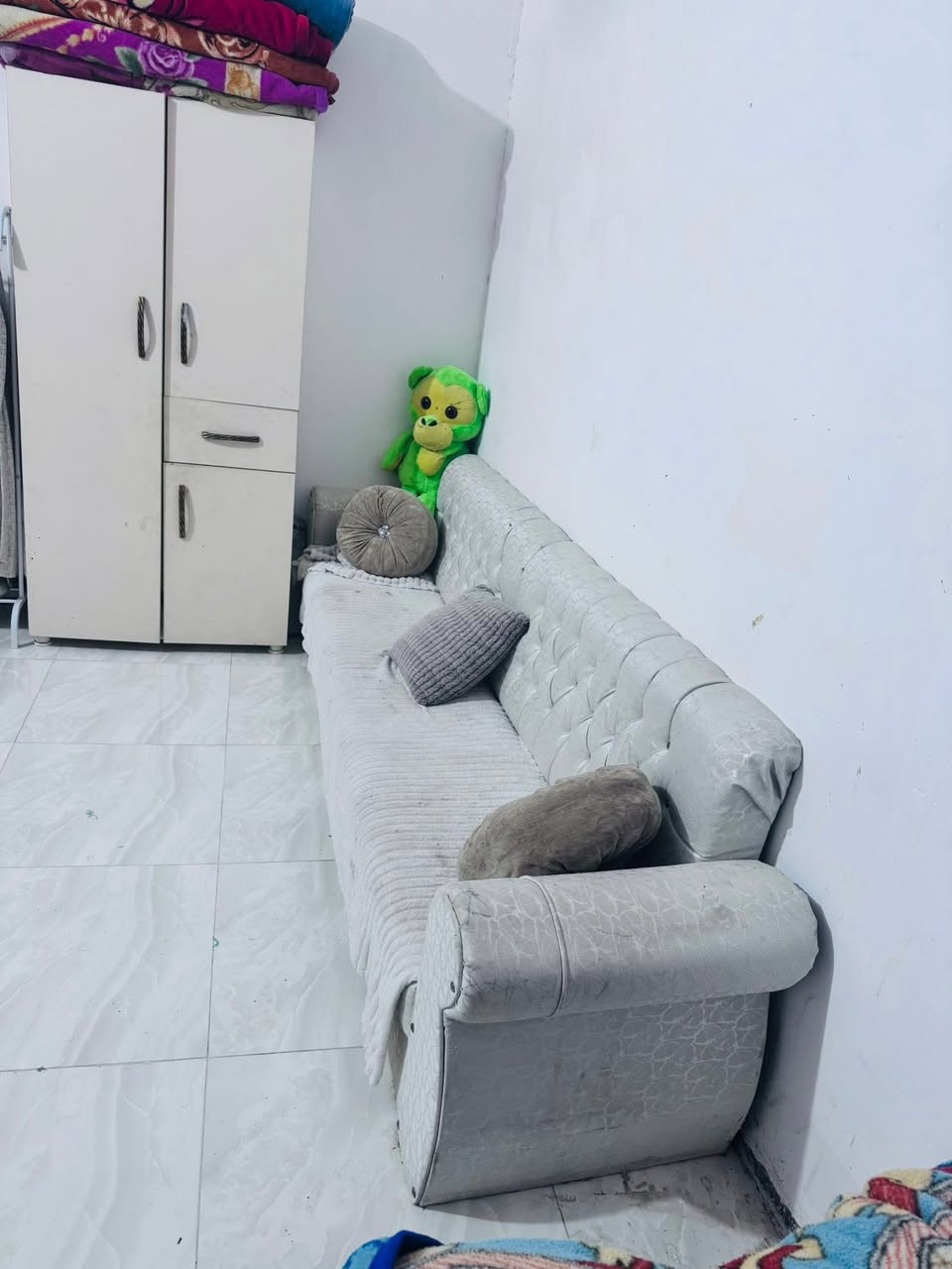 طخمين للبيع الابيض جلد نظيف كلشي مابيه والرصاصي تركي كلش قوي عوزه شويه غسل وبيه رجلين فالته التريدهن تراسلني


**إذا كنت صاحب هذا الإعلان وتريد حذفه لأي سبب، رجاءا أرسل رسالة إلى الدعم الفني**