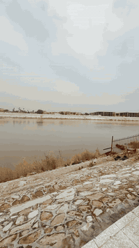 للبيـــع …

دار مساحة { 400 متر } الواجهة الكلية { 20 متر * 20 متر} 
البناء { 150 متر } والحديقة { 250 متر } 

إطلالة شاطئيه جميلة 

محتوى البناء / الطابق الأرضي : مطبخ - إستقبال - صالة - غرف نوم عدد 2 - منور عدد 2 - حمامات عدد 2 خارجية وداخلية ..
الطابق الأول : غرف نوم عدد 4 واحدة سويت - حمامات صحية ..

نوع العقد : سند 17 

العنوان : الدورة - مدخل البعيثة ( منطقة الحشد الثامنة ) 
للتواصل : ***********
