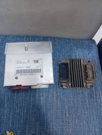 مالدايو • كنزا • ابيكا