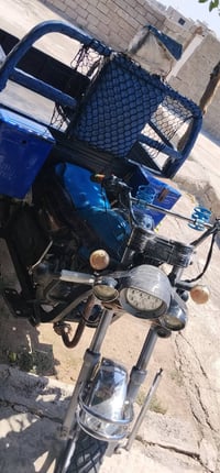 ستوته • ٢٠٢٠ • اوراق كامله