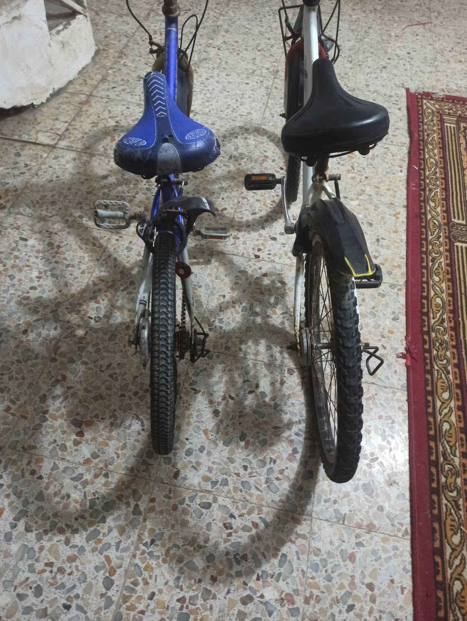باسكلات 150بهن مجال الازرق  بنجر اثنين تواير الابيض كلشي مابي


**إذا كنت صاحب هذا الإعلان وتريد حذفه لأي سبب، رجاءا أرسل رسالة إلى الدعم الفني**