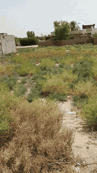 قطعه ارض للبيع
موقع مميز مقابيل محطه بانزين خانه مال عبيد السلطان 
مساحه 510م
الإتصال واستفسار 
‏‪***********‬‏
