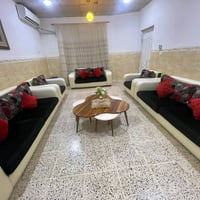 تخم تركي البيع