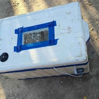 فقاسه • ١٠٠بيضه • درجه اولى