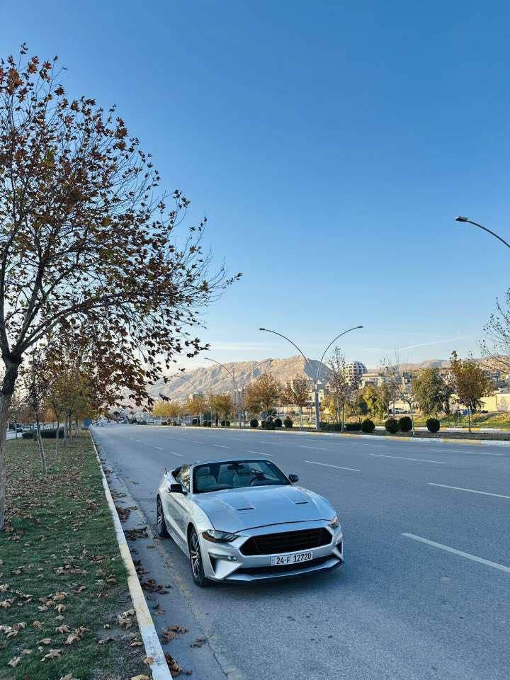 موستانك 2017 ايكو بوست 
محرك 4 سلندر گير محرك بشرط 
تحويل وكاله بشرط رقم سنوي جديد 
بيها 4 قطع صبخ راس شاصي بيها تعديل بدون صبخ و معجون 
سياره فول كشنات هيتر دشبول 7 لون 
سعر 107$ 
ورقتين غرامه نزل من سعر 
رقم موبايل ***********
مكاني دهوك زاخو, دهوك
