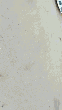 السلام عليكم بيت لبيع طابو صرف المساحه 100 متر شرك 5 ،،،،20: يتكون من غرفه وصاله ومطبخ وحمام ومنور بدون استقبال وبي ساحه بيت نظيف وتبليط ومنطقه هادئه كلش وكل الخدمات العنوان مقابيل حايط الزراعه حي اللبان او حي الموظفين السعر التصال ع الرقم
استفسار ع ***********
