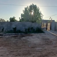 قرب رشيد الهجري • ٦٠٠م • سند ٢٥