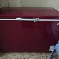 مجمدة • ماروني • أصلي