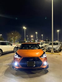 فيلوستر • ٢٠١٦ • مشمشي ٦٢ الف