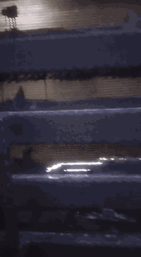 السلام عليكم دار100متر زراعي للبيع حزيران قرب حصو ورمل مقابيل أسواق علي الجبوري أول فرع
السعره 55مليون 
رقم الموبايل***********
