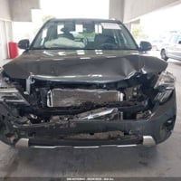 سيلتوس • ٢٠٢٤ • بدون كمرك